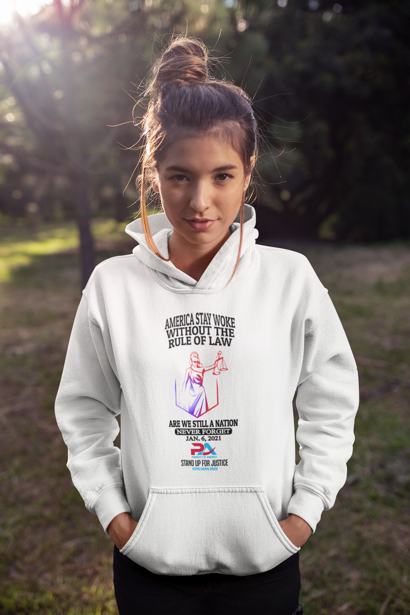 NEVER FORGET JANUARY 6, 2021/VOTE DEMS 2022 HOODIES