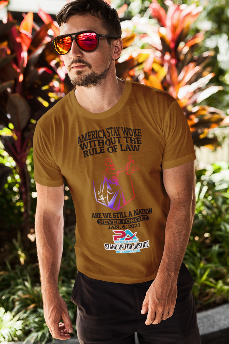 NEVER FORGET JANUARY 6, 2021/VOTE DEMS 2022 T-SHIRT