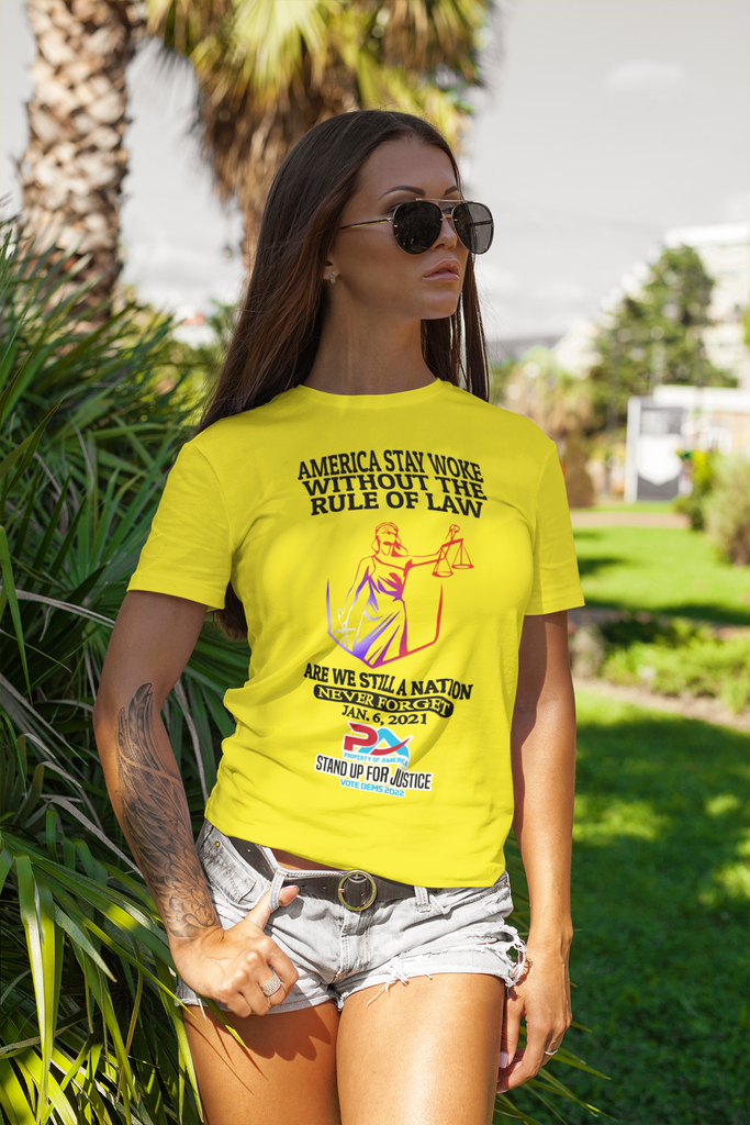 NEVER FORGET JANUARY 6, 2021/VOTE DEMS 2022 T-SHIRT