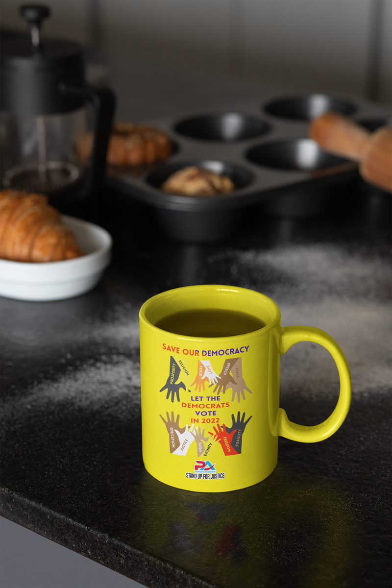 SAVE OUR DEMOCRACY/ IT'S DEMS TIME