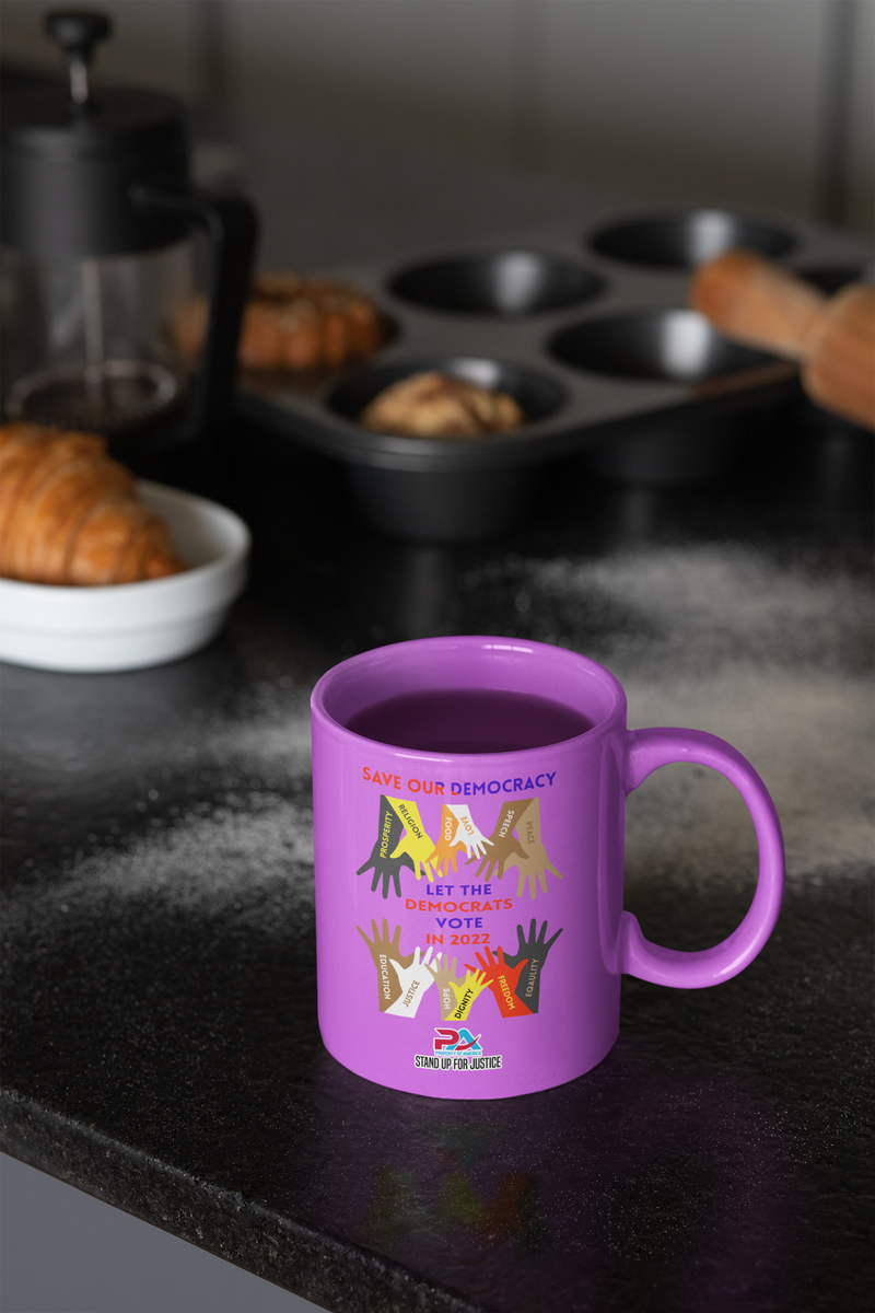 SAVE OUR DEMOCRACY/ IT'S DEMS TIME