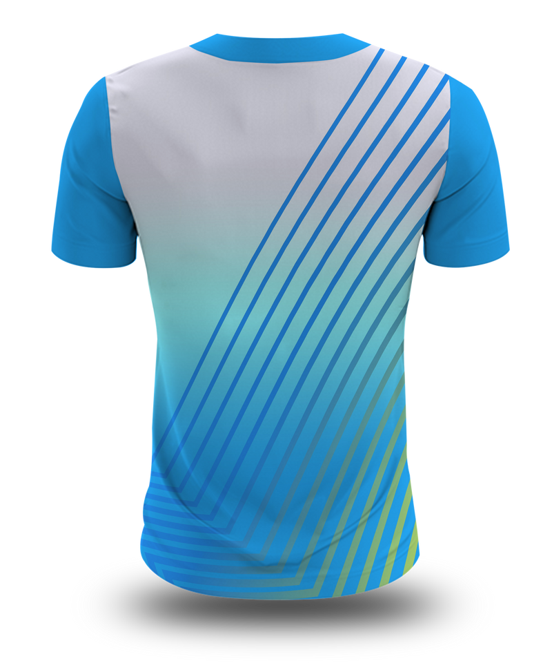 Obama to Biden T-Shirt