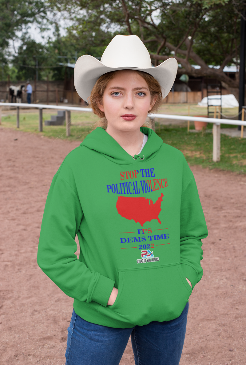 STOP THE POLITICAL VOLIENCE/ IT'S DEMS TIME