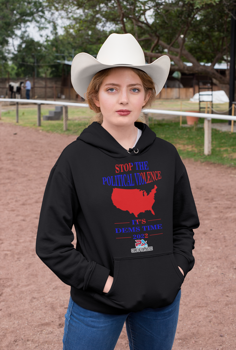 STOP THE POLITICAL VOLIENCE/ IT'S DEMS TIME