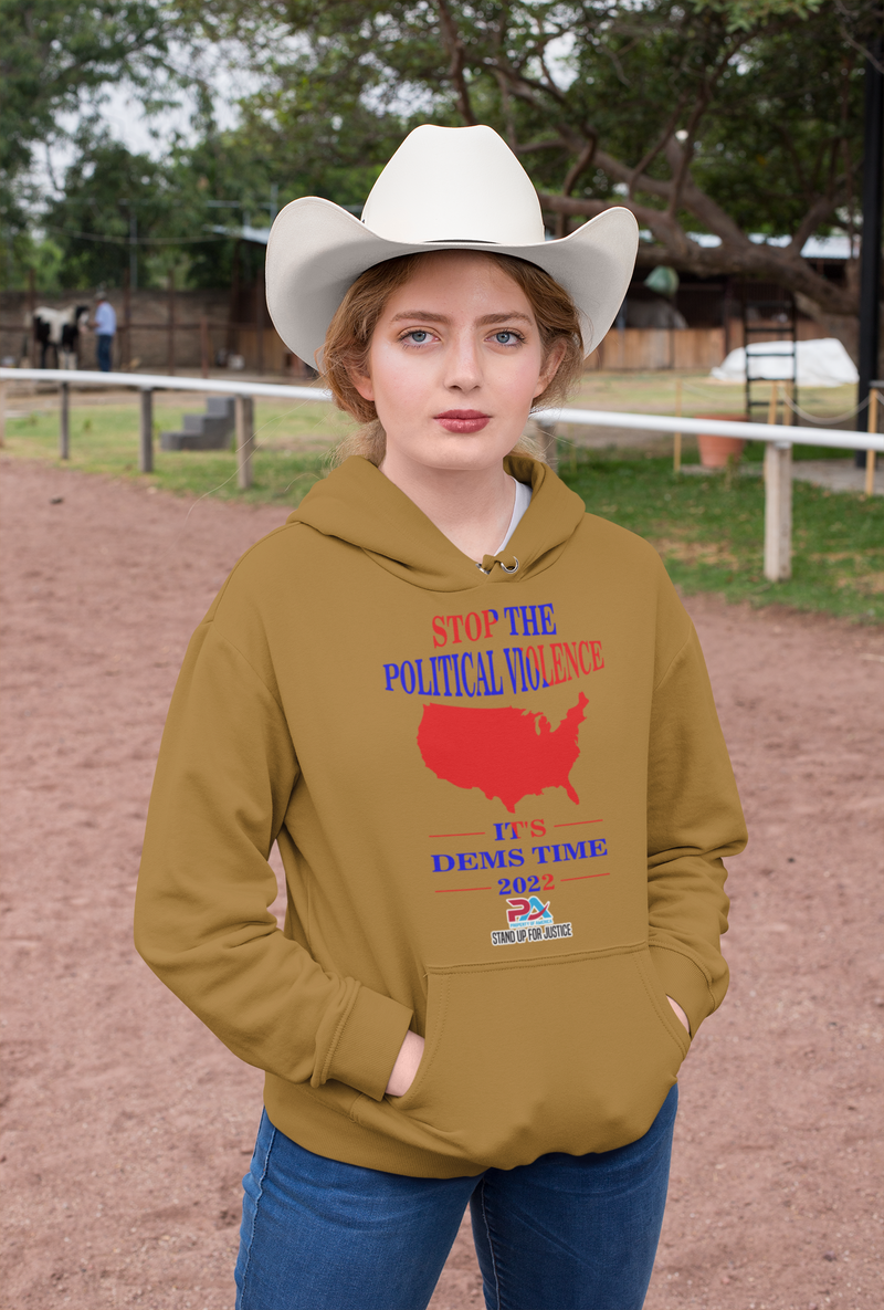 STOP THE POLITICAL VOLIENCE/ IT'S DEMS TIME