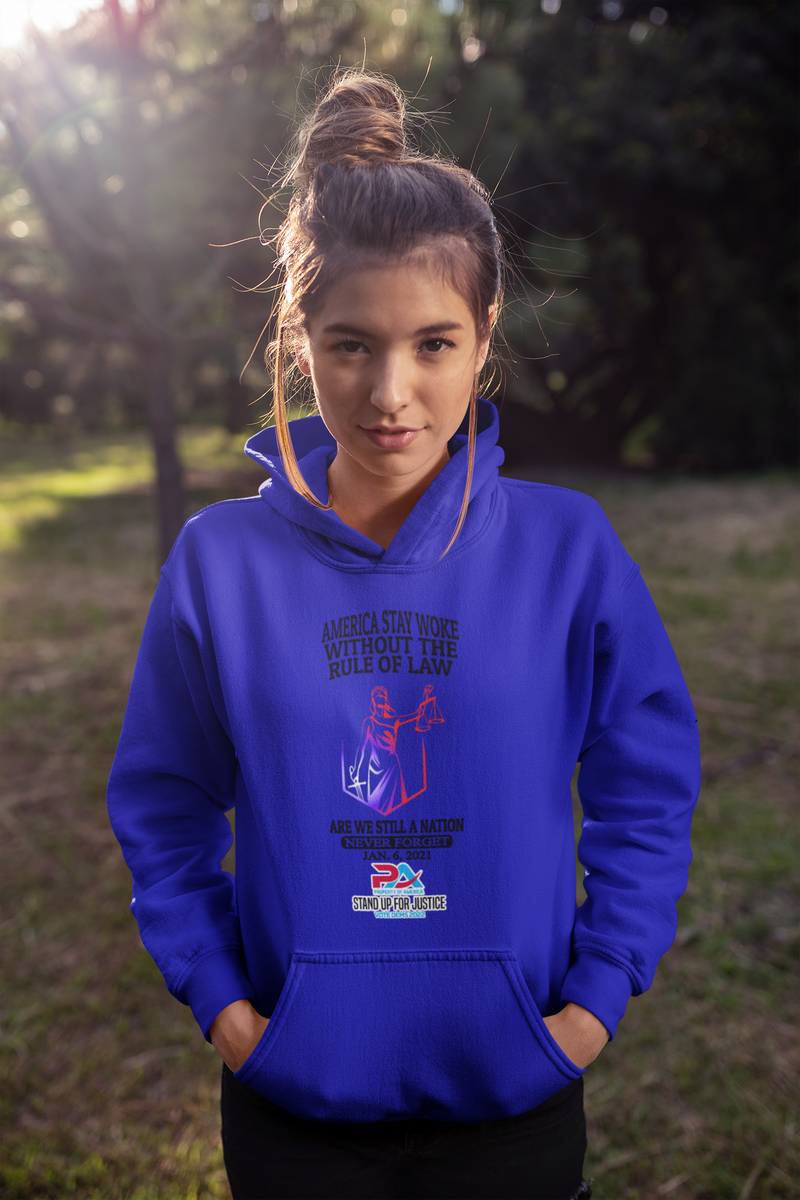 NEVER FORGET JANUARY 6, 2021/VOTE DEMS 2022 HOODIES