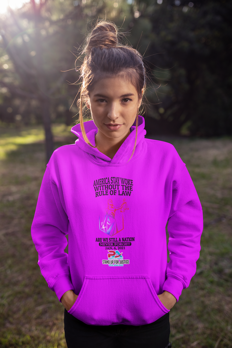 NEVER FORGET JANUARY 6, 2021/VOTE DEMS 2022 HOODIES