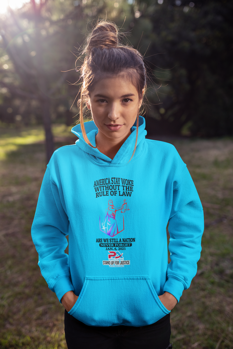 NEVER FORGET JANUARY 6, 2021/VOTE DEMS 2022 HOODIES