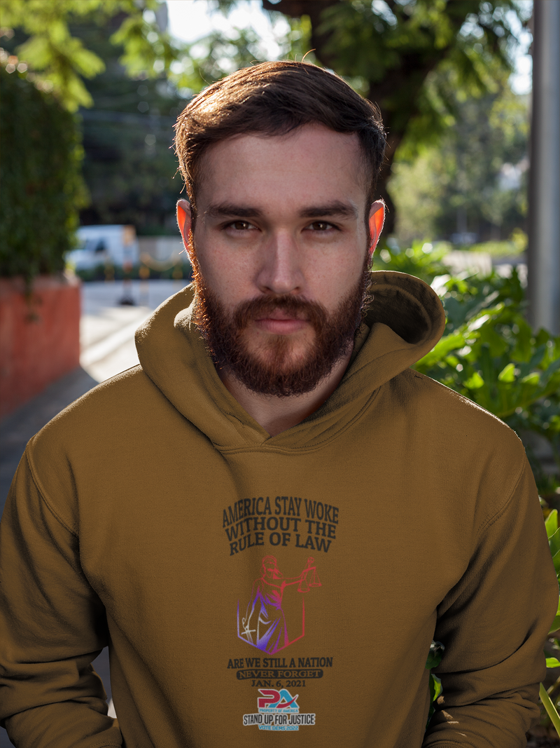 NEVER FORGET JANUARY 6, 2021/VOTE DEMS 2022 HOODIES