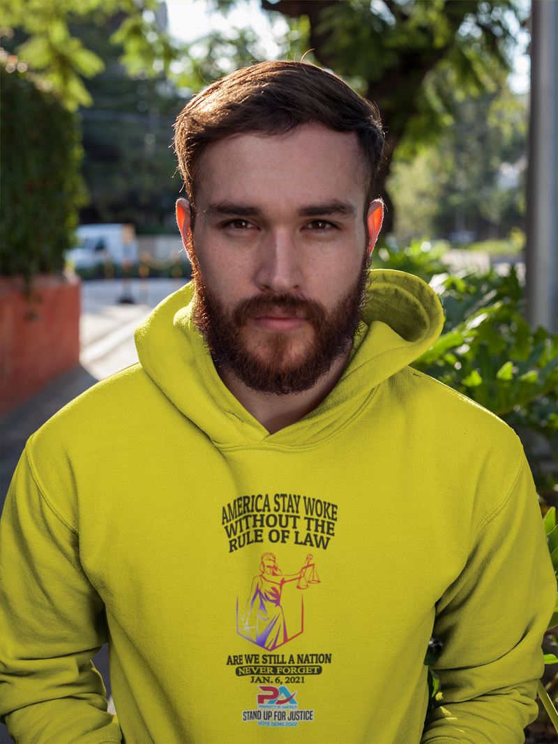 NEVER FORGET JANUARY 6, 2021/VOTE DEMS 2022 HOODIES