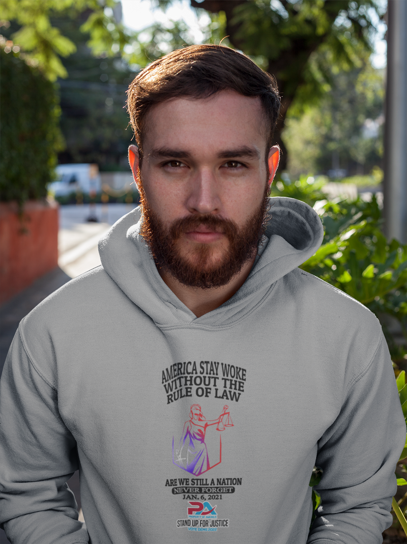 NEVER FORGET JANUARY 6, 2021/VOTE DEMS 2022 HOODIES